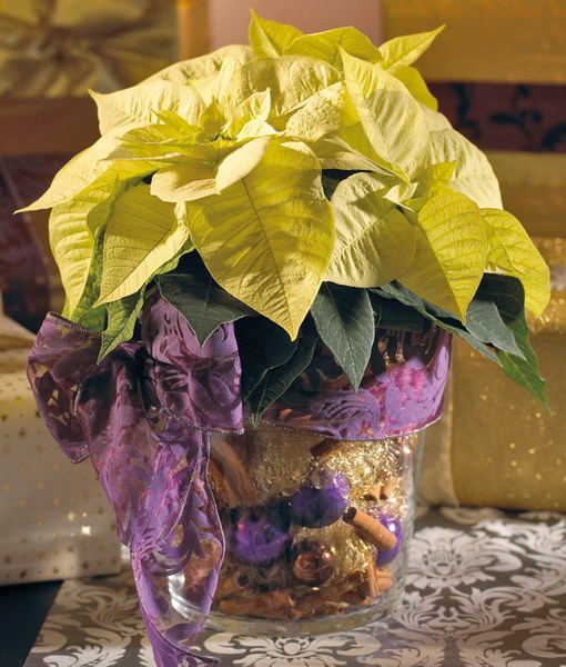 home-flowers-in-new-year-decorating1-1 (510x600, 106Kb)