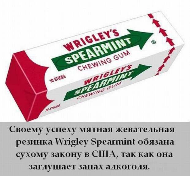 Интересные факты в картинках