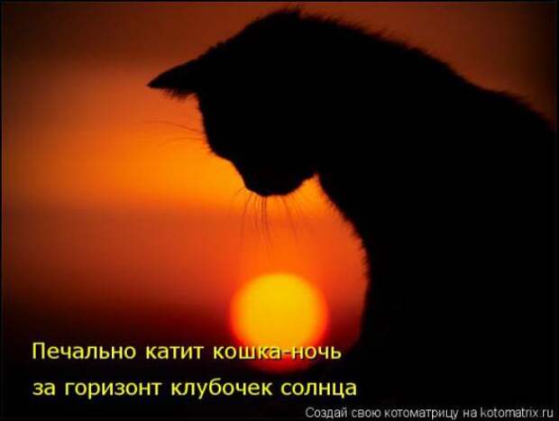 Котоматрицы(картинки с надписями)