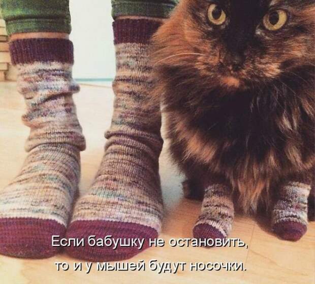 Мысли вслух :) 22 пушистые картинки