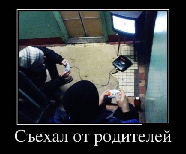 Демотиваторы (30 фото)