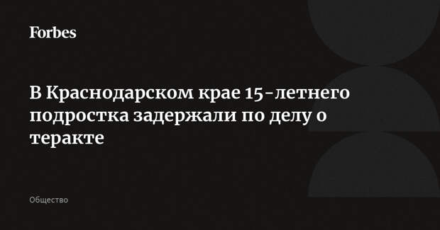В Краснодарском крае 15-летнего подростка задержали по делу о теракте