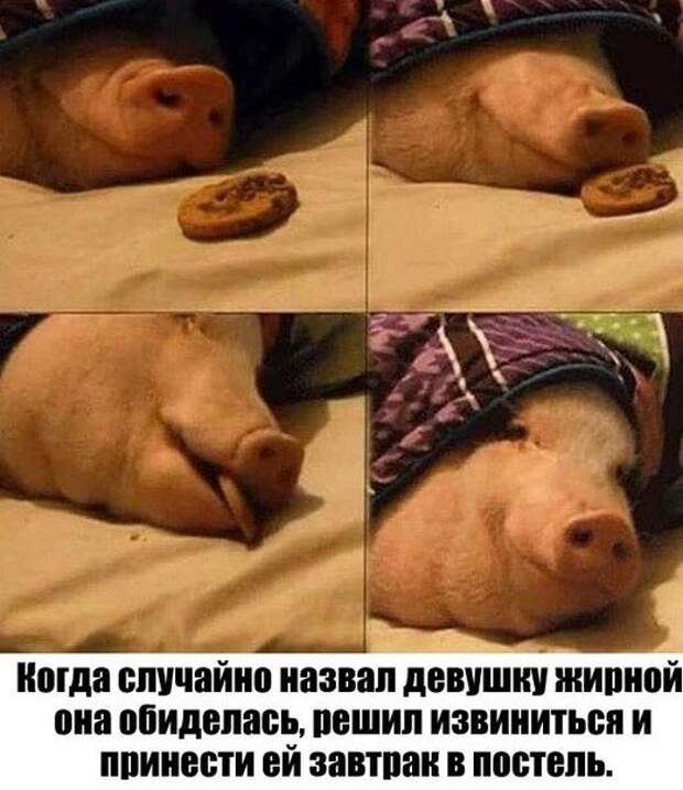 Позитивный пост+97 Позитивный пост+97