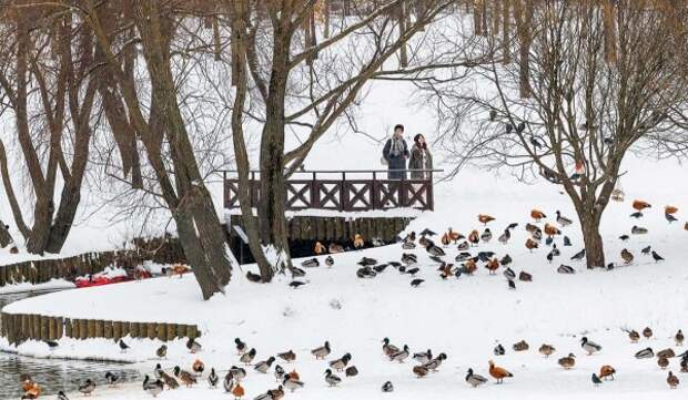 Облачная погода и до 2 градусов тепла ожидаются в Москве 4 марта