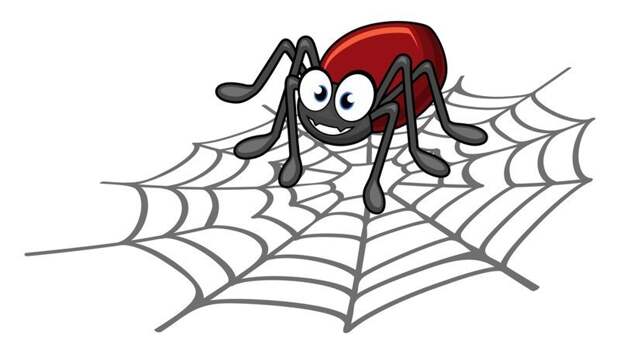 Почему убить паука плохая примета? Весты, дом, достаток, паук, паутина, поверье, почемучка, примета