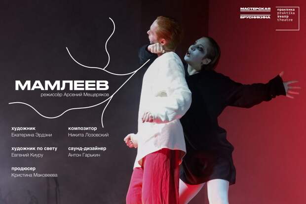 Мастерская Брусникина работает над психоделической оперой «Мамлеев»