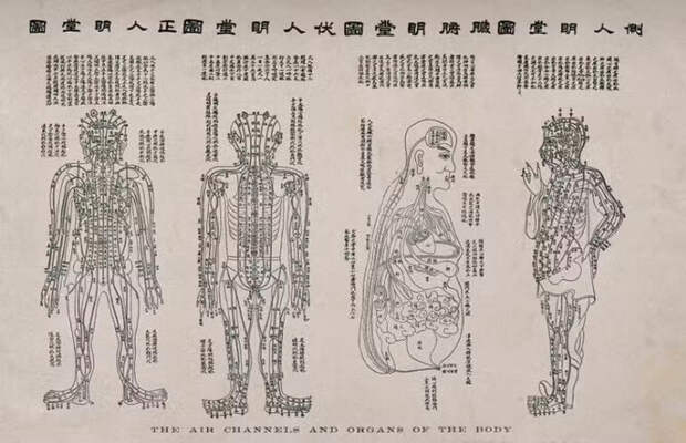 Таблица иглоукалывания традиционной китайской медицины 1800-х годов