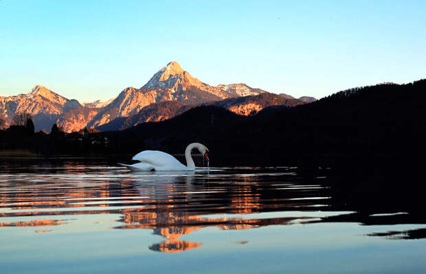 Весна за окном Весна за окном