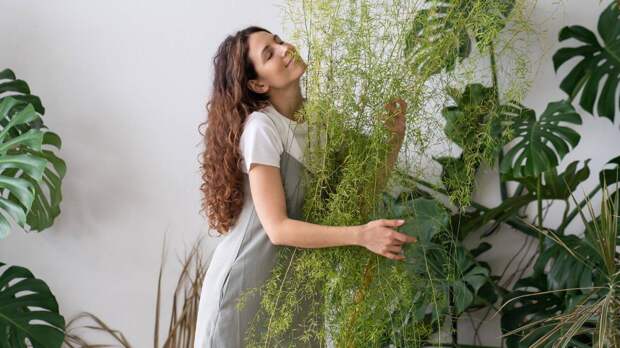 Вертикальный сад: какие растения подходят для создания «зеленой стены» дома