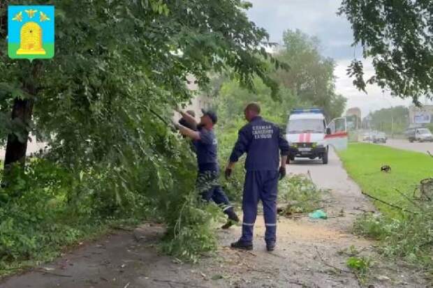 Тамбовчанам рассказали, куда обращаться в случае ЧС при непогоде