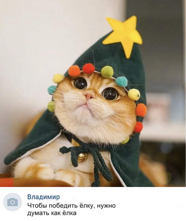 Скриншоты из социальных сетей. Часть 697 (36 фото)