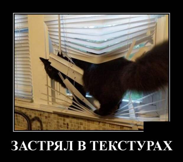 Демотиваторы (30 фото)