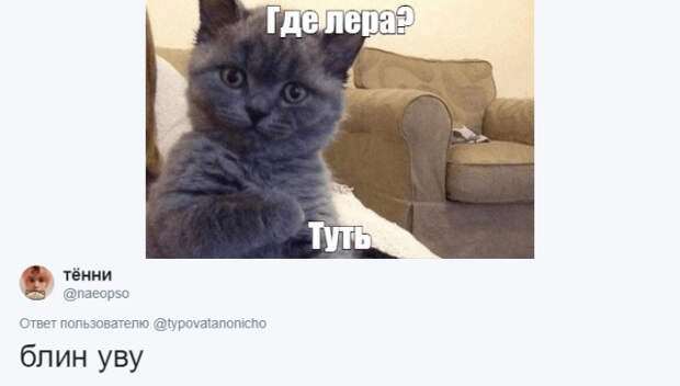 www.vsyako.net
