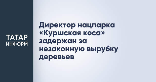 Директор нацпарка «Куршская коса» задержан за незаконную вырубку деревьев