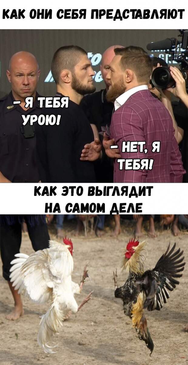 Макгрегор и Нурмагомедов