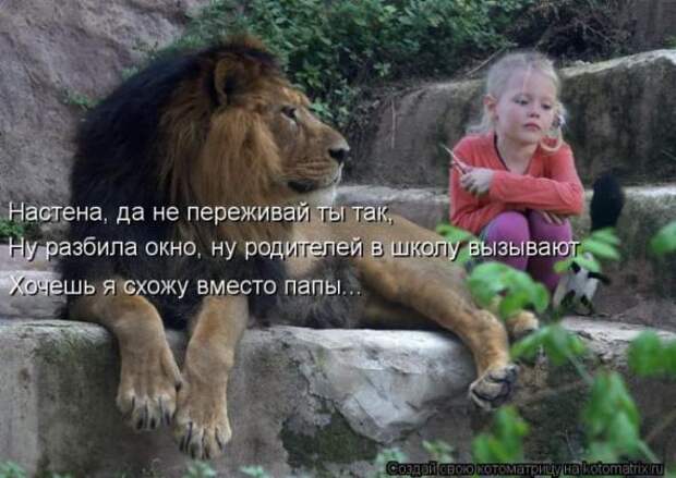 Котоматрицы(картинки с надписями)