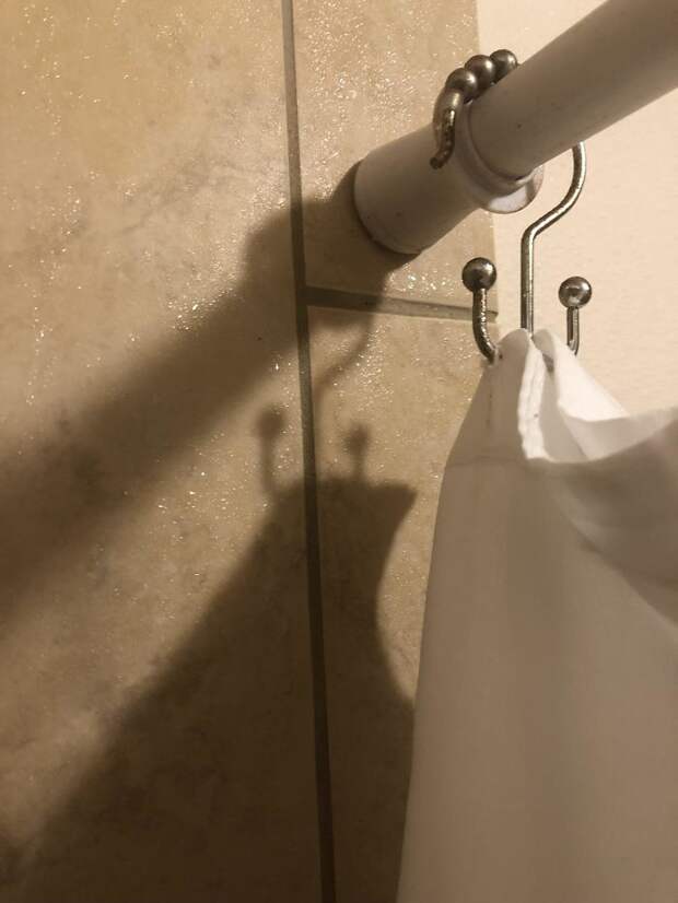 Shadow In My Shower Looks Like A Confident Slug