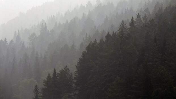 Роспотребнадзор начал мониторинг за качеством атмосферного воздуха в связи с лесными пожарами