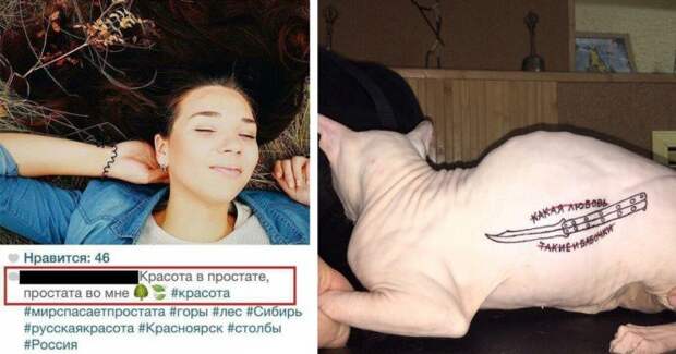 Неопровержимые доказательства того, что земляне деградируют Неопровержимые доказательства того, что земляне деградируют
