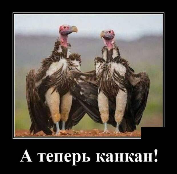 demotivatory-demotivator-smeshnye-demotivatory-demotivator-so-smyslom