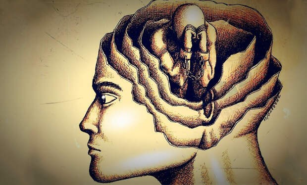 Многомерный мозг