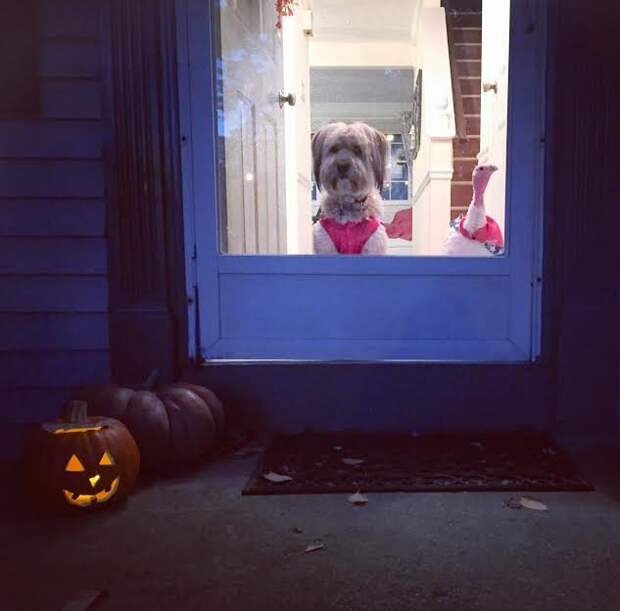 tmg-article_tall (8)