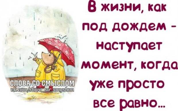 Каждая фраза как жизнь...