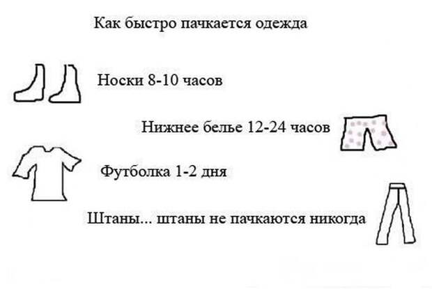 Прикольные картинки Прикольные картинки