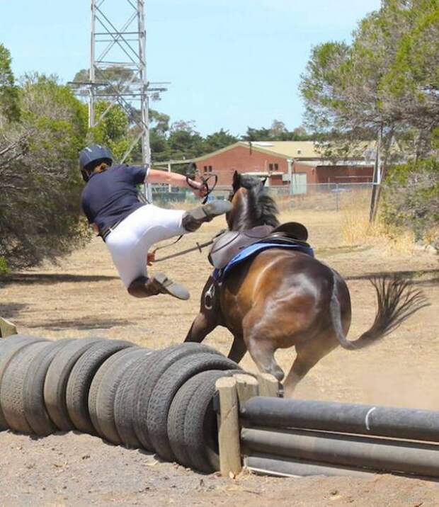 0_18ebc1_feb1fa4_orig-1