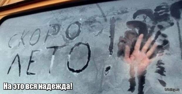 Весна уже пришла? Или пока еще нет? (23 фото)