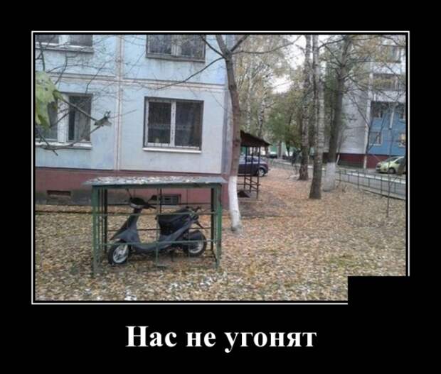 Демотиваторы (30 фото)