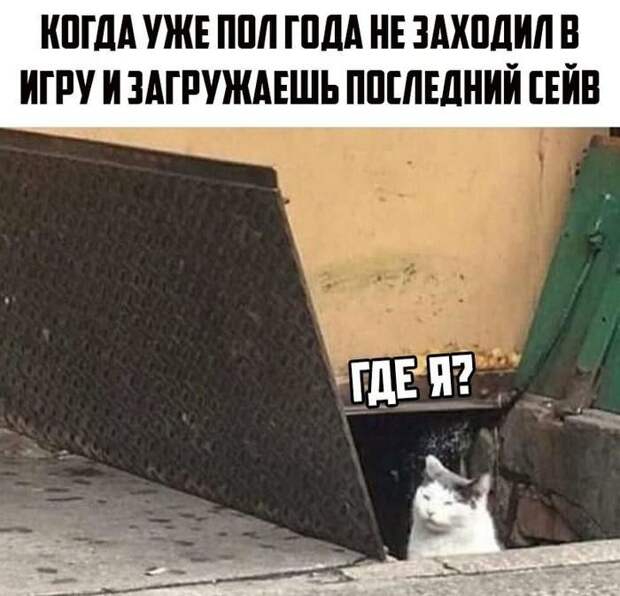 Геймерство: порция свежего юмора