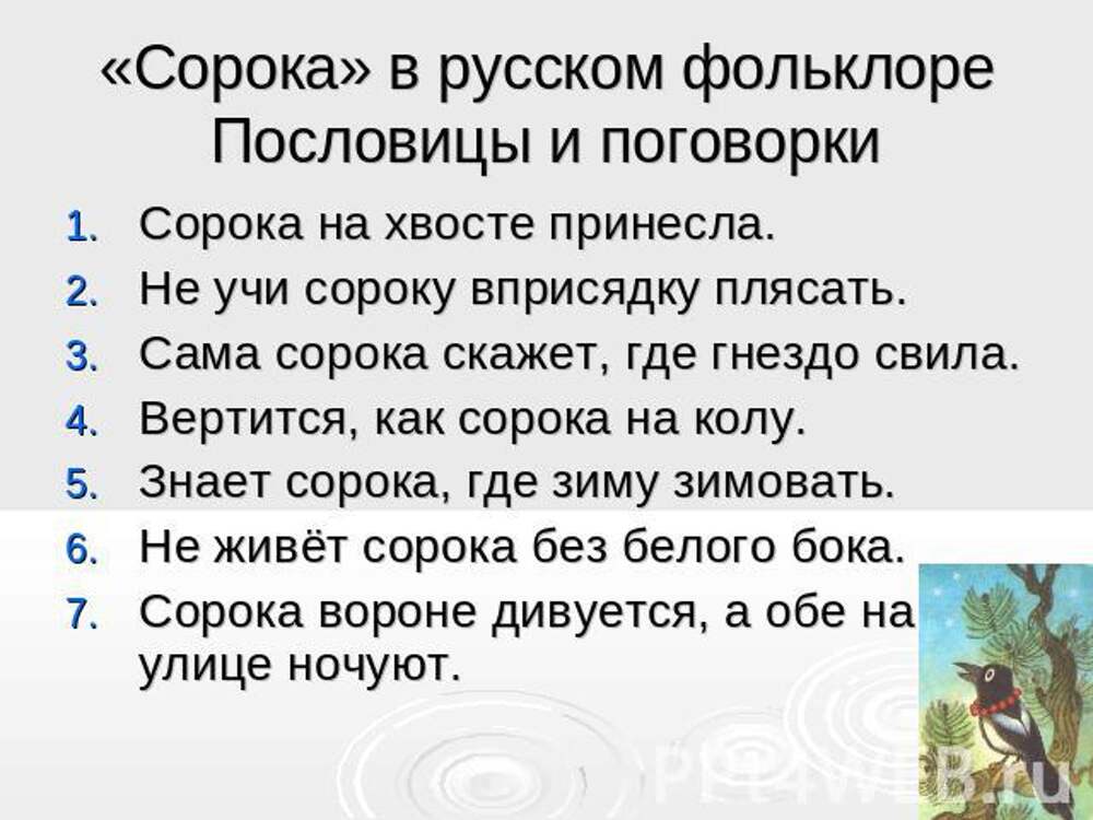 Сорока старое слово. Пословицы и поговорки о Сороке. Пословицы и поговорки про сорок. Пословица про сороку 1 класс. Пословицы про сороку.