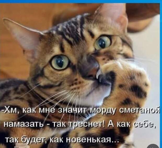 Трудно говорить с набитым ртом, особенно, если бьют регулярно