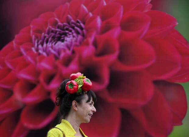 Цветочная выставка садов и цветов Chelsea Flower Show 2021