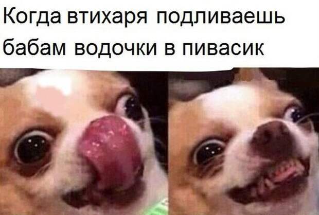 Фотоподборка четверга (111 фото)