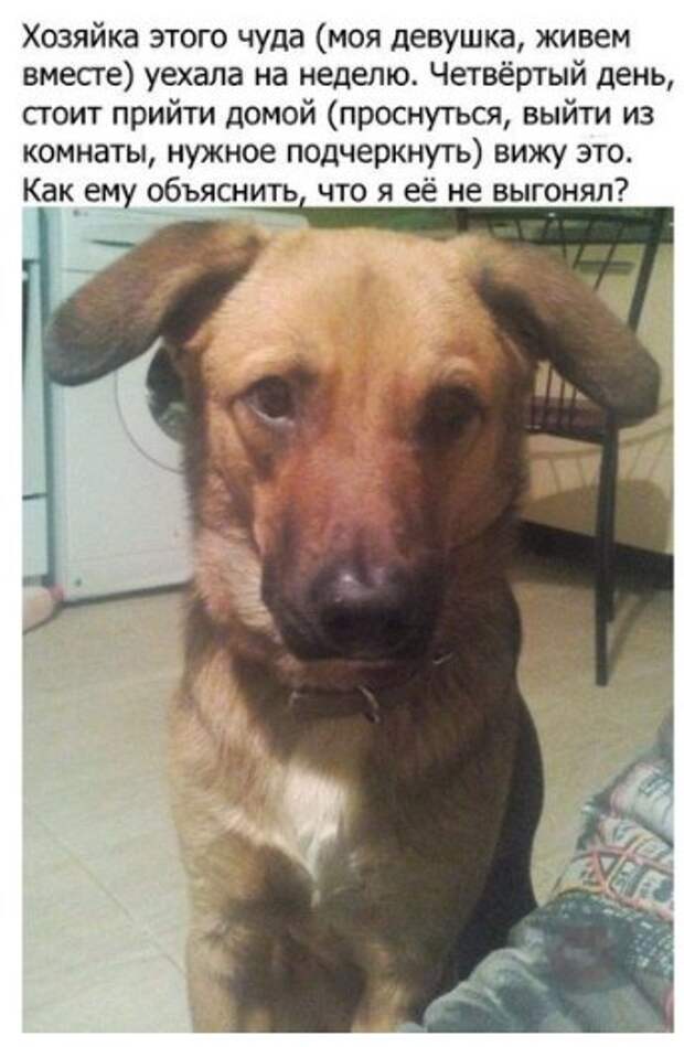Позитивные и жизненные картинки с надписями со смыслом (12 фото)