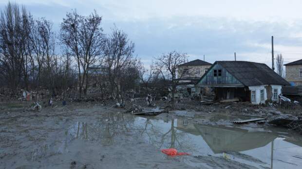 В Махачкале спасли животных из приюта, затопленного во время ливней