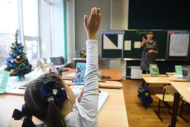 Тест по школьным знаниям: а вас можно назвать лучшим отличником из Омска?