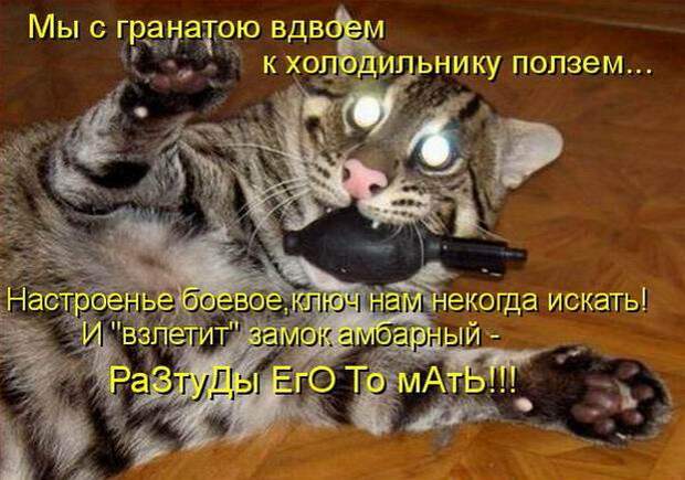 Мысли вслух :)