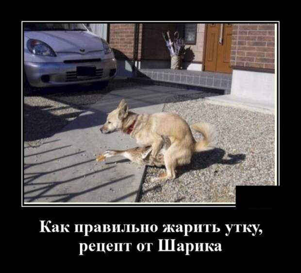 Демотиватор про рецепт приготовления утки