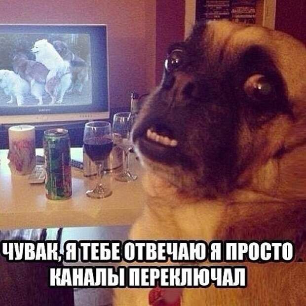 Был пойман с поличным, раскаиваюсь в содеянном!