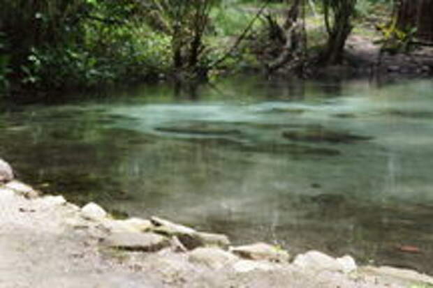 Kapishya Hot Springs.