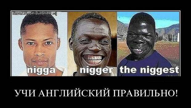 Демотиваторы (26 фото)