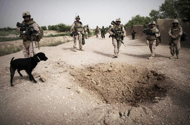 Лабрадор с взводом морских пехотинцев в Афганистане 