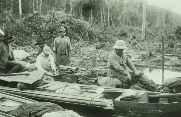 Экспедиция Рузвельта на реке Да Дувида, 27 февраля 1914 год Теодор Рузвельт, животные, интересно, история, пираньи, рыба