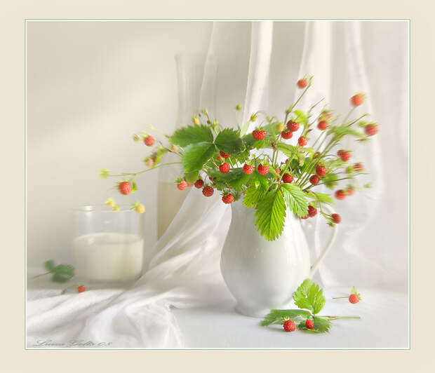 Фото жизнь - Luiza Gelts - Still  Lifes - Куда уходит детство...?