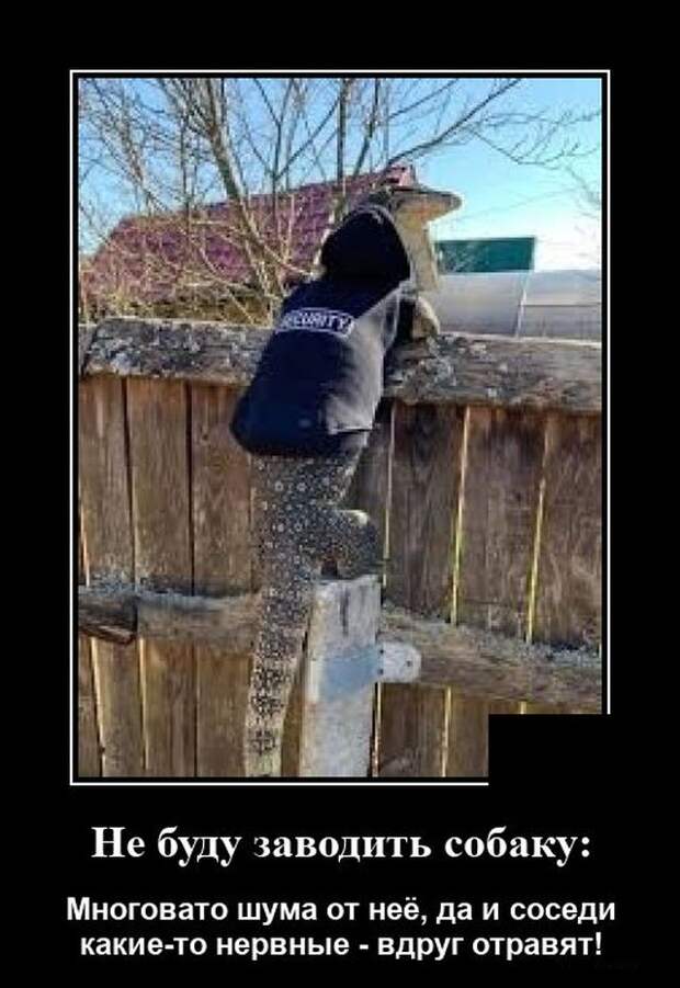 demotivatory-demotivator-smeshnye-demotivatory-demotivator-so-smyslom