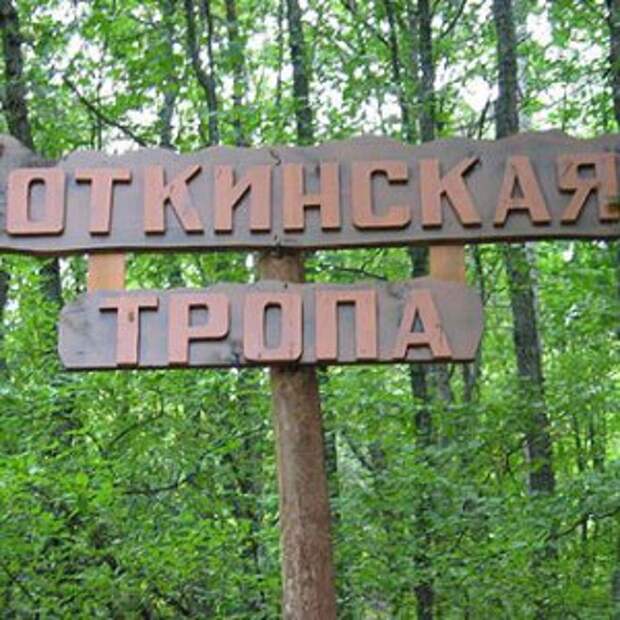 Новости Крыма