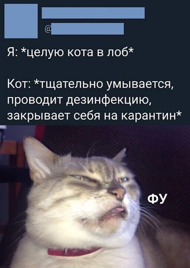 Юмор по понедельникам